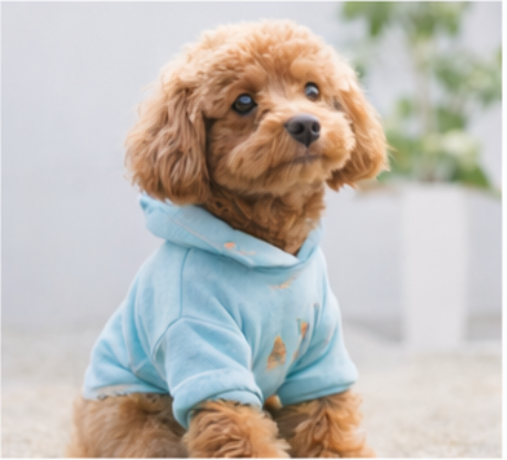 ペット服イメージ 09