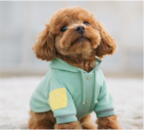 ペット服イメージ 12